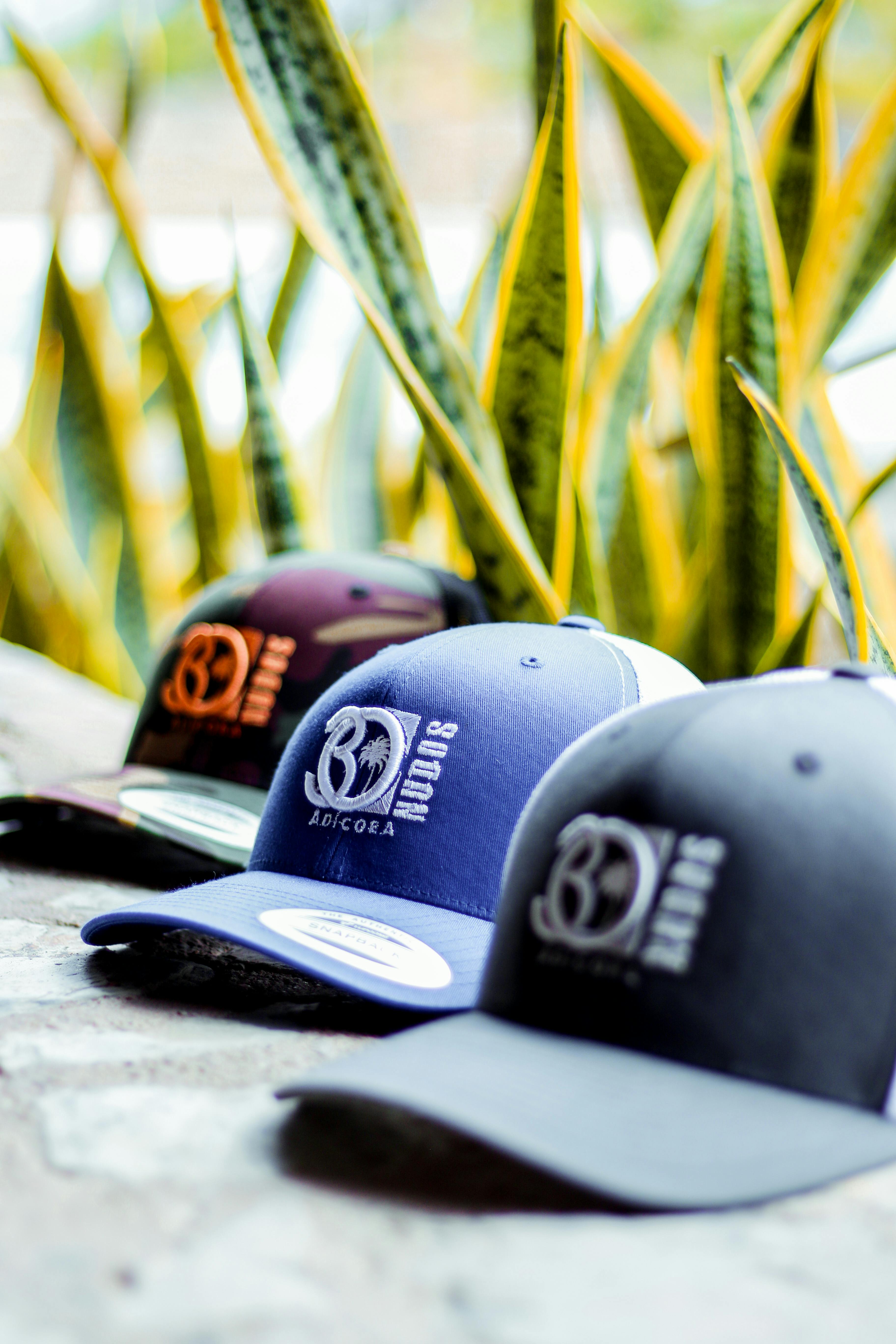Three caps with logos on a surface with plants in the background